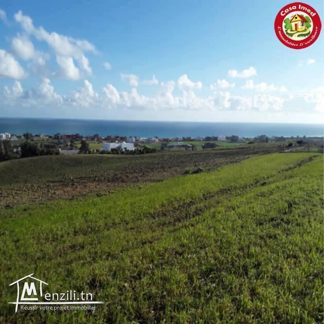 Lots Terrains avec une vue Panoramique à ezzahra