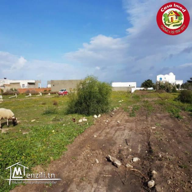 Terrain de 216m² en Promotion