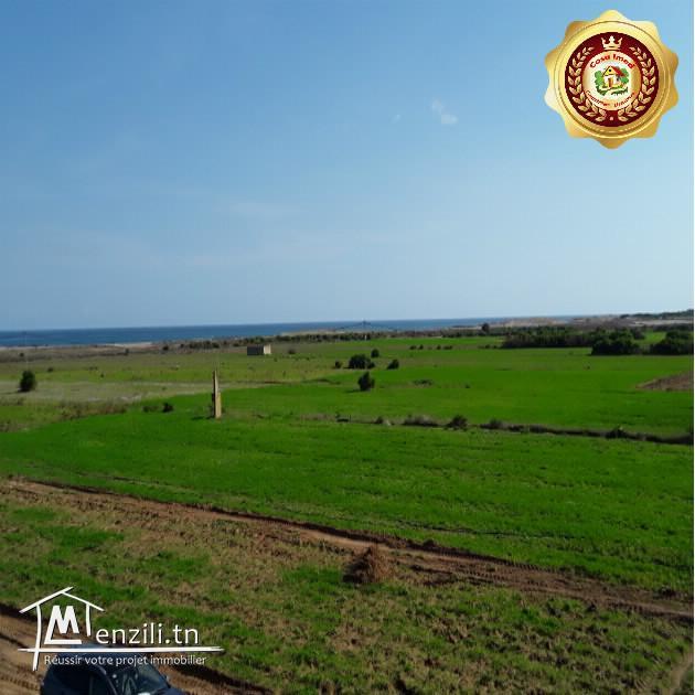 Terrain au bord de mer avec des prix exceptionnel