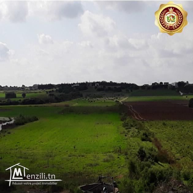 Terrain au bord de mer avec des prix exceptionnel