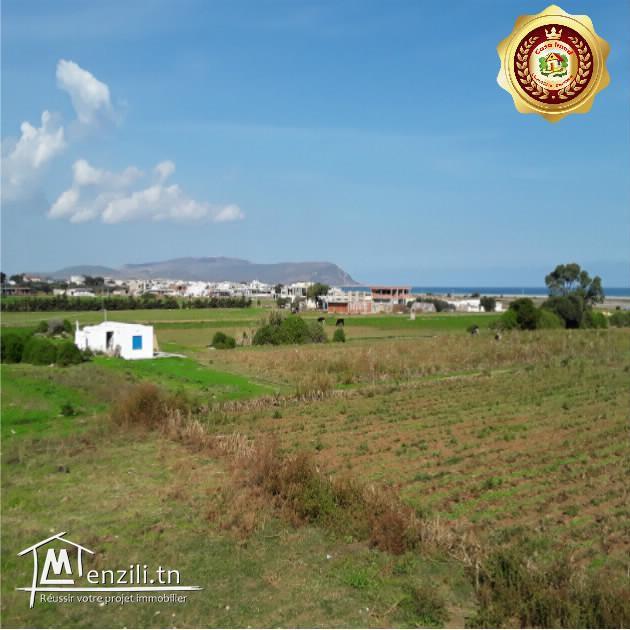 Terrain au bord de mer avec des prix exceptionnel