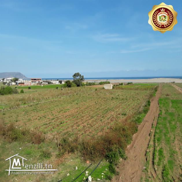 Terrain au bord de mer avec des prix exceptionnel