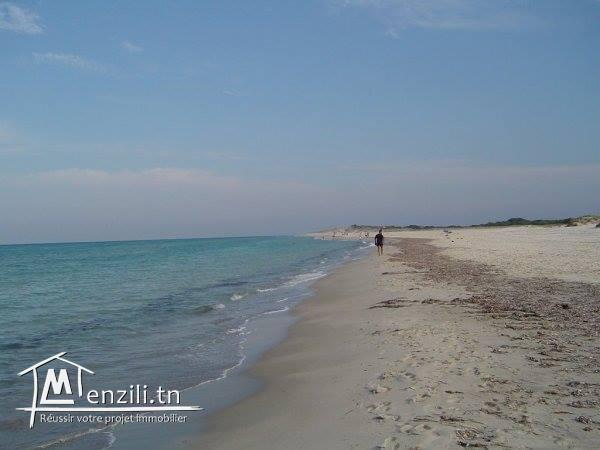 Des lots terrain a kerkouene