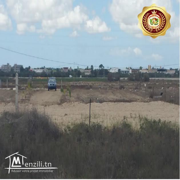 A kelibia ain grinz des terrains fantastique