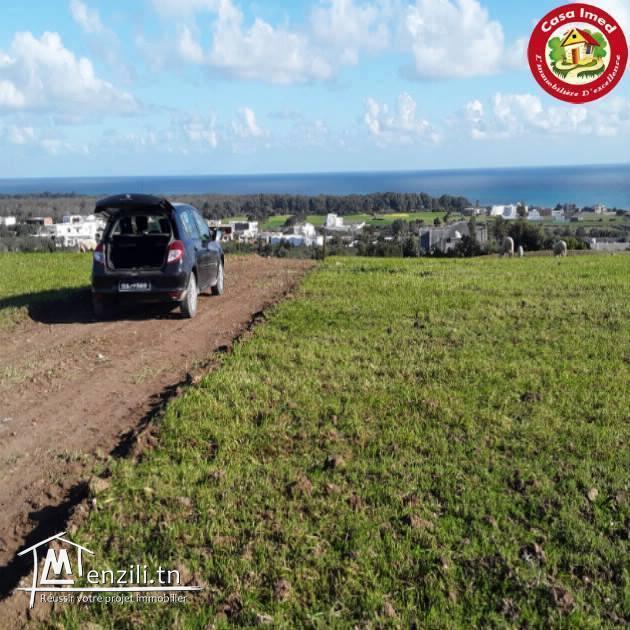 Lots Terrains avec une vue Panoramique