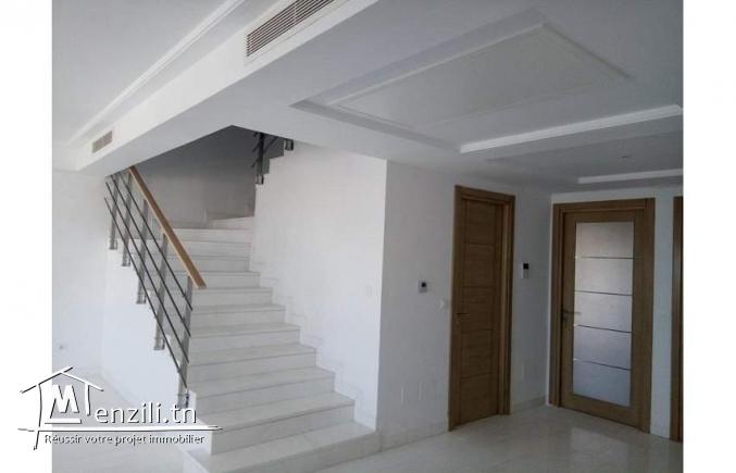 duplex lux jamais habitè