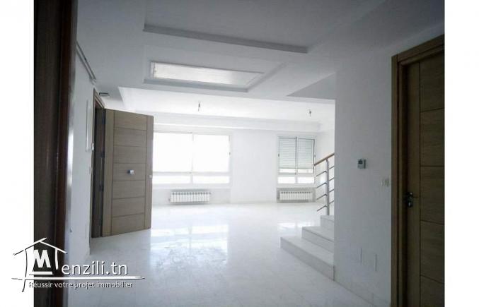 duplex lux jamais habitè