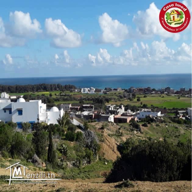 lots terrain vue sur mer