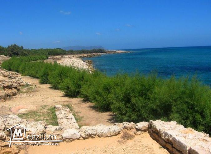 أراضي على لبحرفي كركوان فيها الماء والضوء