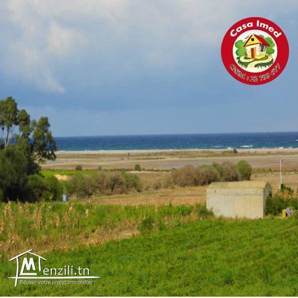 Lotissement au bord de mer à Dar allouche
