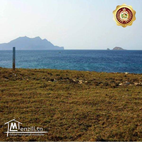 Lotissement au bord de mer