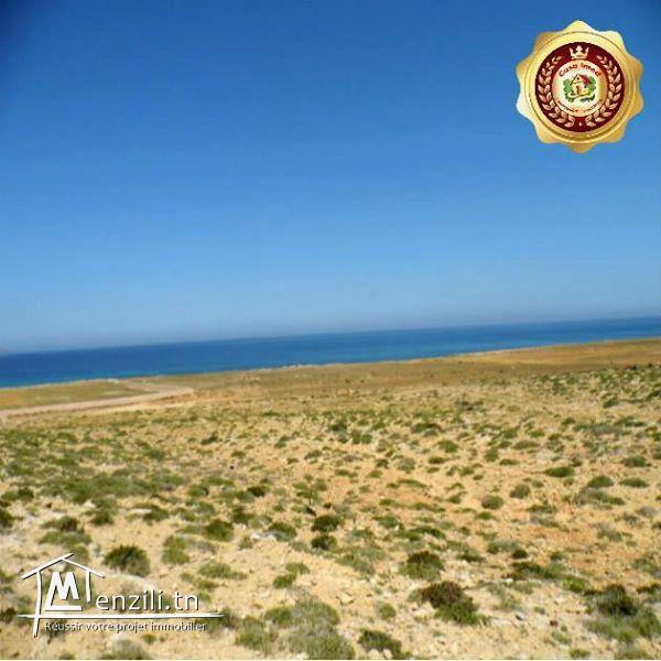 des terrains vue sur mer