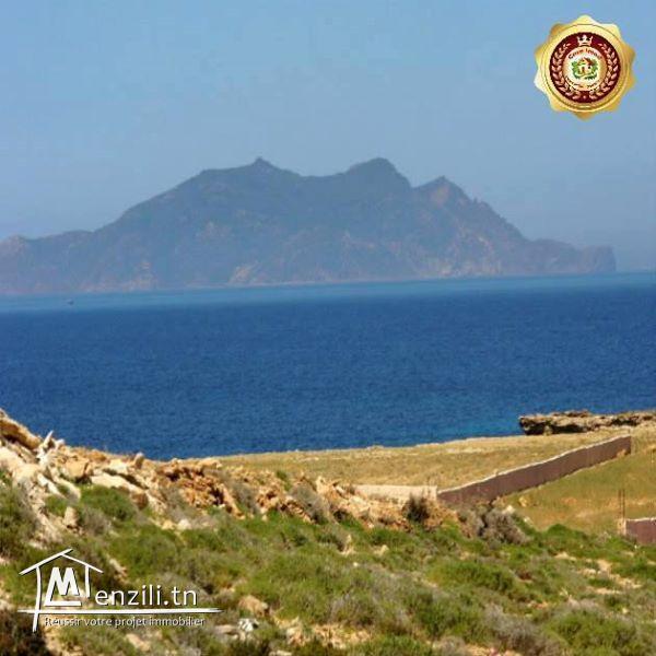 des terrains vue sur mer