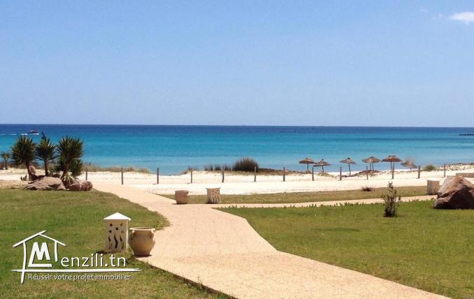 terrain à l belge kelibia