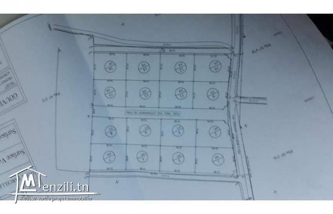 Terrains ceinture n11 1er position