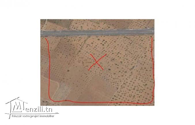 Terrains ceinture n11 1er position