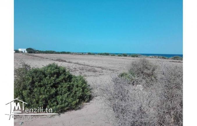 a vendre un terrain au bord de la mer de kerkwen