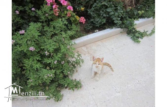 Rez de jardin meublé pour étudiantes