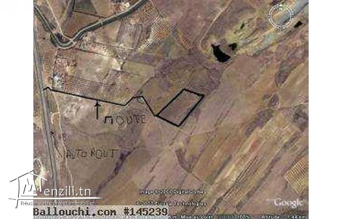 فرصة ارض للبيع في فوشانة