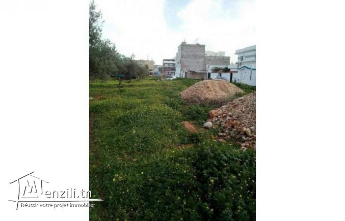 terrain sur la route de Bizerte km7