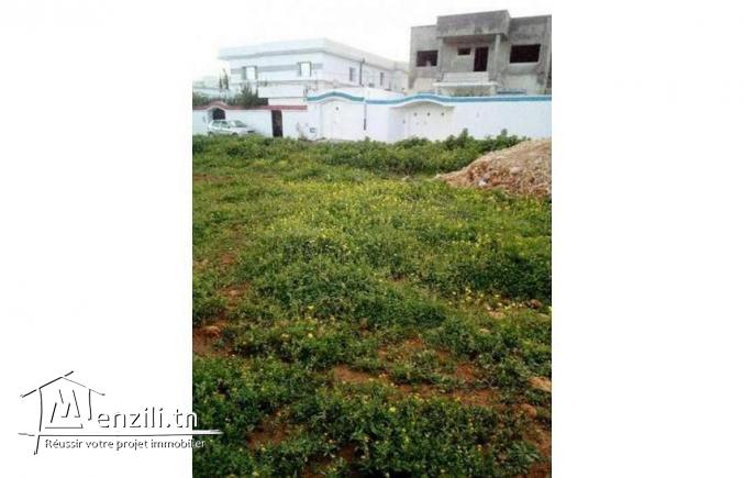 terrain sur la route de Bizerte km7