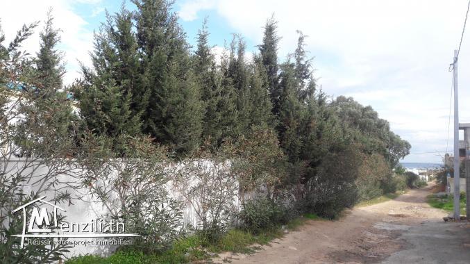 Dar chatt ezouhour korba