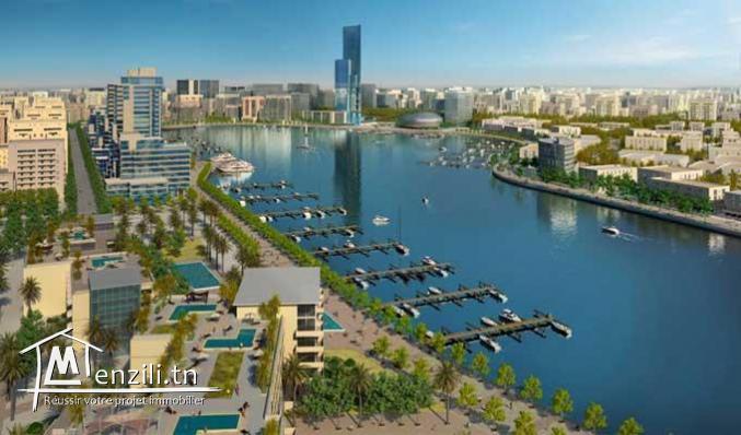 Terrain 320 m Chotrana 3