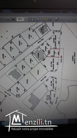 Terrain 320 m Chotrana 3