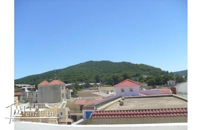 Appartement S+ climatisé