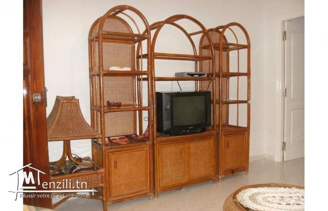 S1 bien meublé a l'année