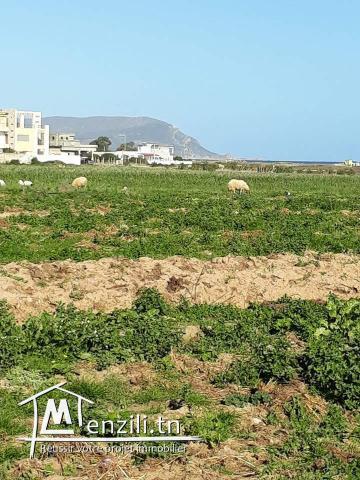 Terrain à Dar ALLOUCH plage