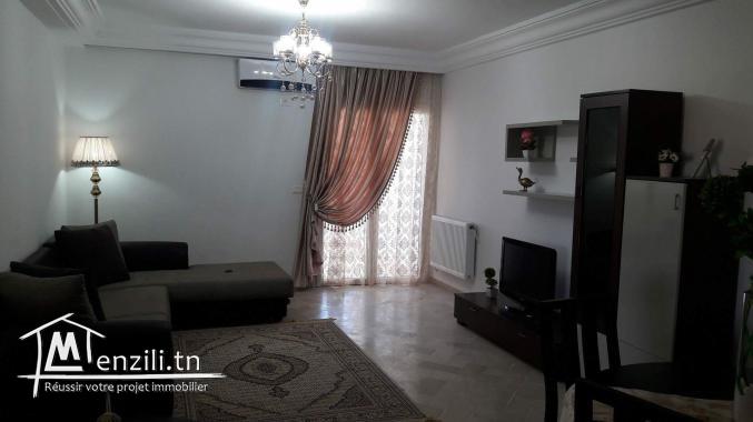 Apartement de luxe richement meublé