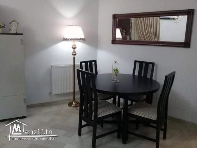 Apartement de luxe richement meublé