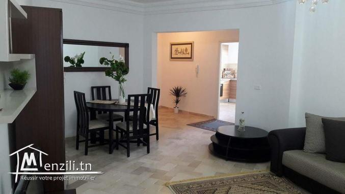 Apartement de luxe richement meublé