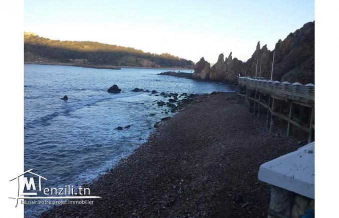 Appartements 60m2 à Jendouba Tabarka