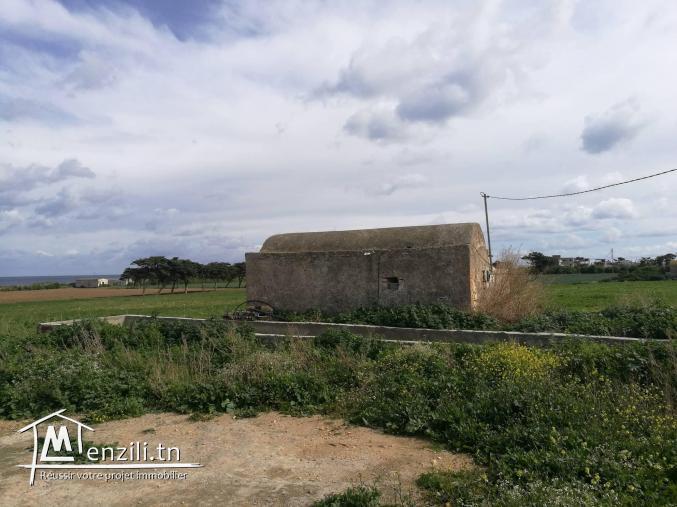 أراضي في دار علوش صالحة للبناء