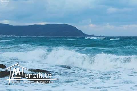 Occasion terrain à bas prix