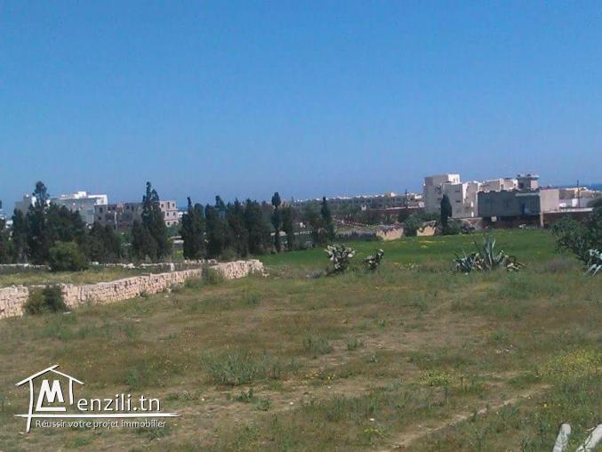 Terrain a vendre  de 400 m²