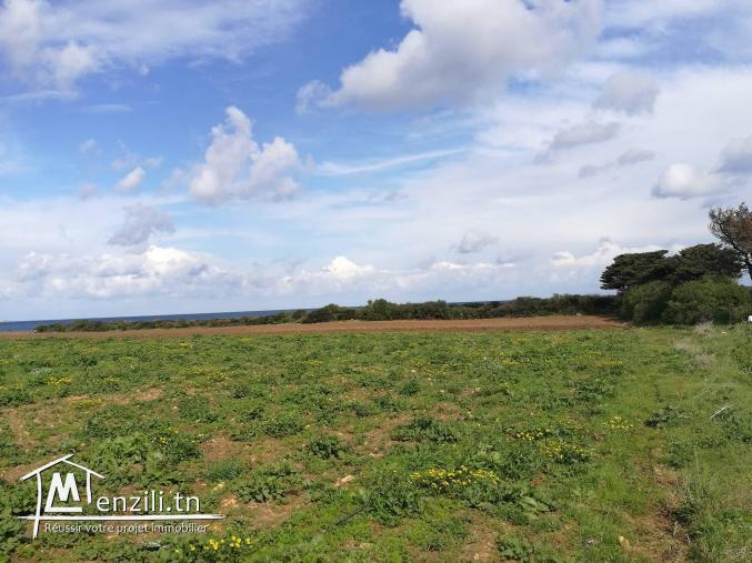 موقع إستراتيجي  وإطلالة رائعة على البحر