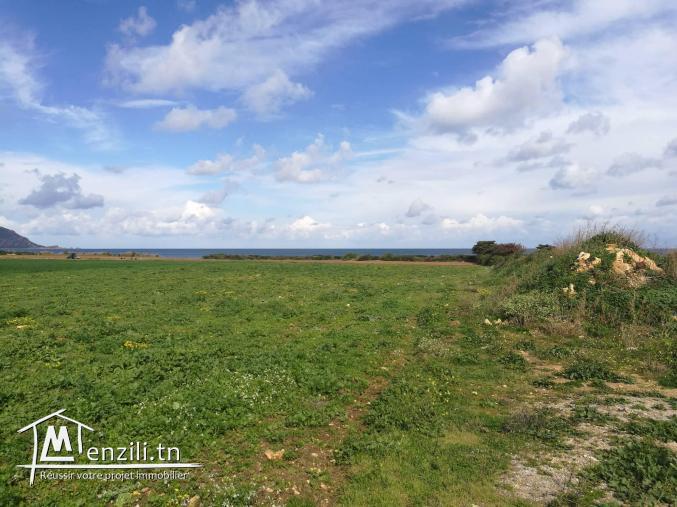 Terrain vue de mer( emplacement stratégique)