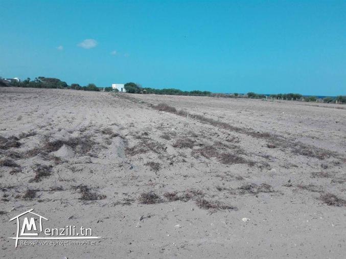 terrain a kerkouane de 1000m²