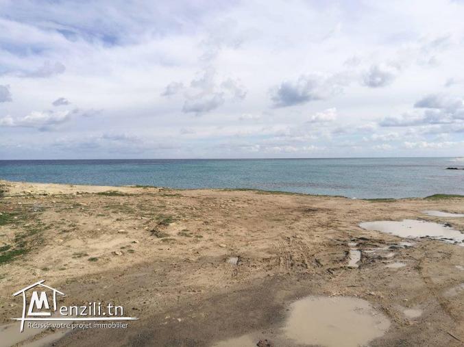 terrain pied dans l'eau