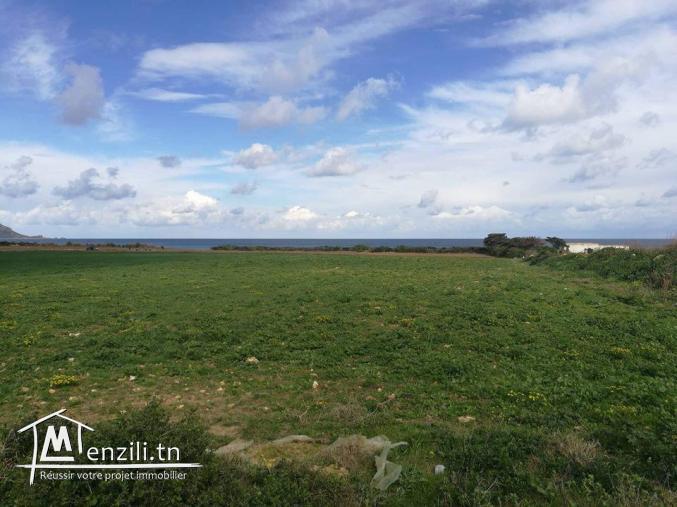 terrain pied dans l'eau