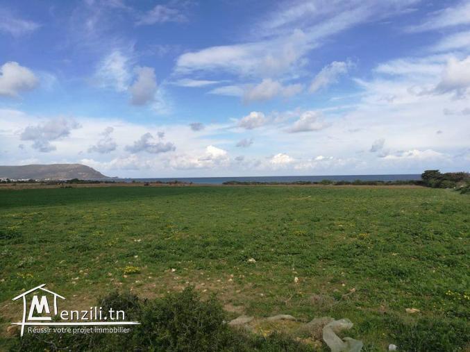 terrain pied dans l'eau