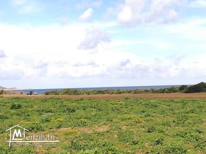 terrain pied dans l'eau