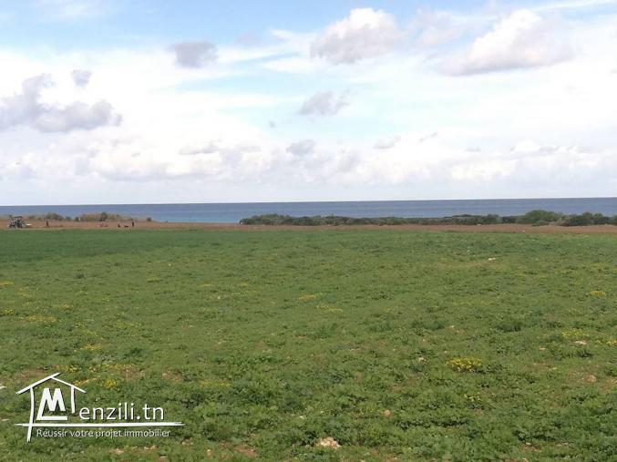 terrain pied dans l'eau