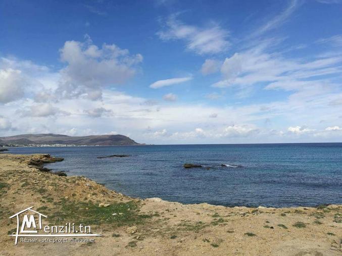 terrain dar allouch pied dans l'eau