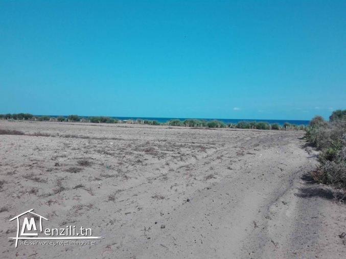 terrain kerkouane vue de mer