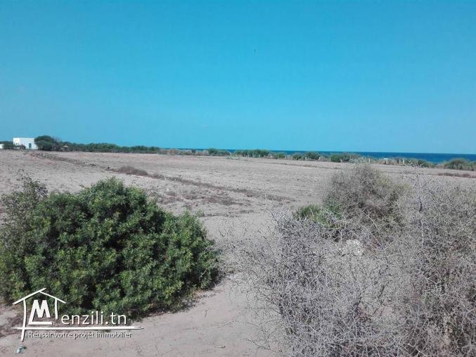 terrain kerkouane vue de mer