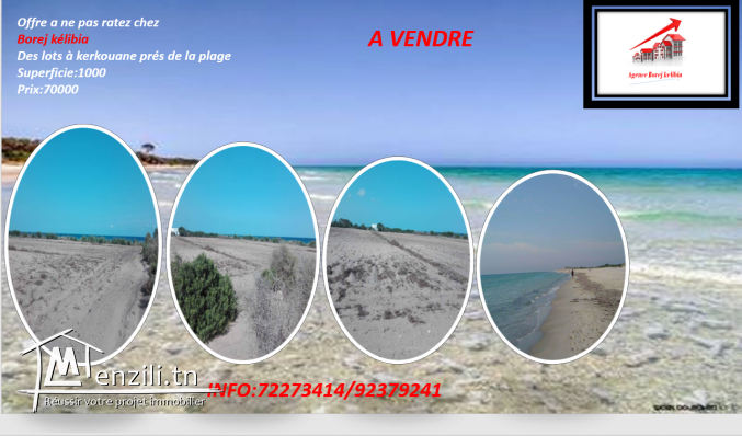 terrain kerkouane vue de mer